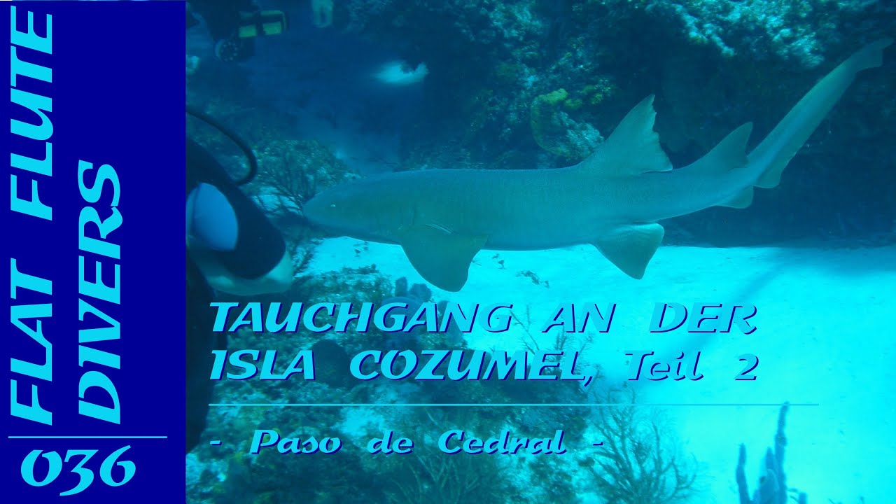 ACSOLAR #182: Tauchgang an der Isla Cozumel, Teil 2 | Pasa de Cedral