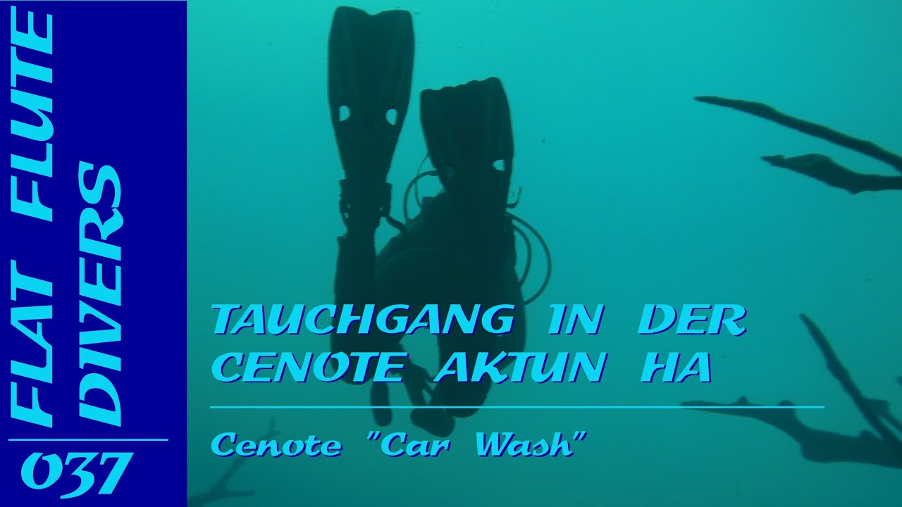 ACSOLAR #183: Tauchgang in der Cenote Aktun Ha | Cenote „Car Wash“