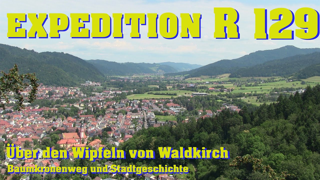 ACSOLAR #228: Über den Wipfeln von Waldkirch | Baumkronenweg und Stadtgeschichte